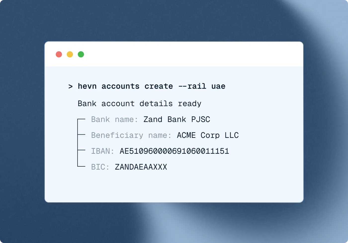 HEVN CLI showing local account details opened by API